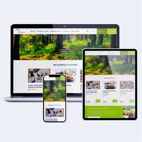 image mockup projet
